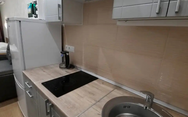 Studiya S Vannoy V Zhk Flotiliya Apartments
