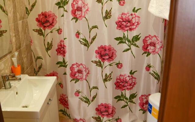 Sheremet'evo-Aleksandriya Guest House