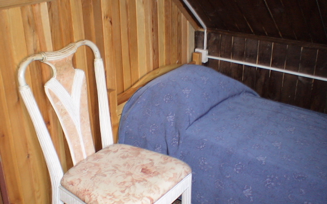 Belovezhskaya Lesnaya Skazka guest house