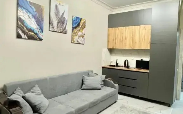 Krasivaya v Tsentre Goroda Flat