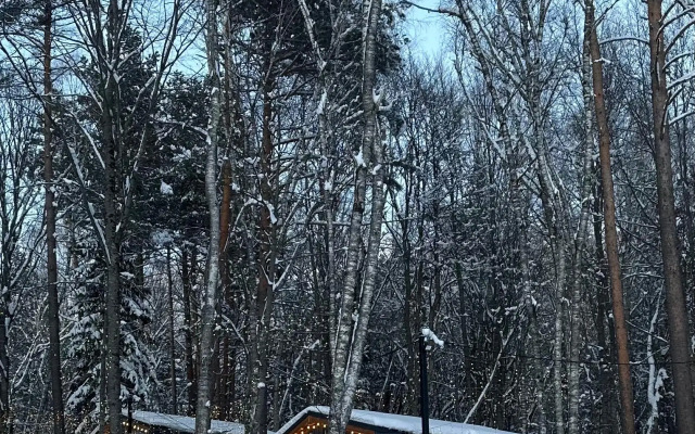 База отдыха Шепот леса