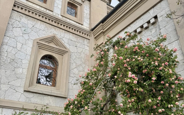 Апартаменты Двухместные с Кухней Алупка Ривьера Оазис