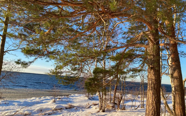 Частный дом на Береговой 1