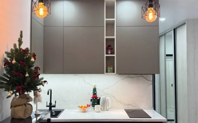 Квартира Дизайн-студия в Самом Центре Ростова