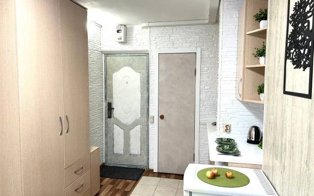 Квартира Студия 100 метров от метро