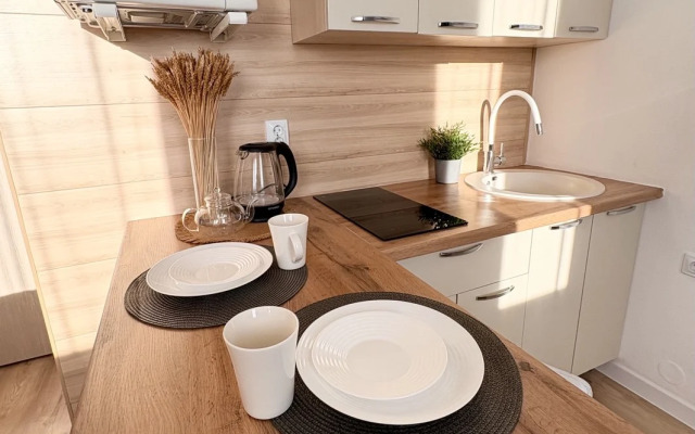 Апартаменты Рябинина 47