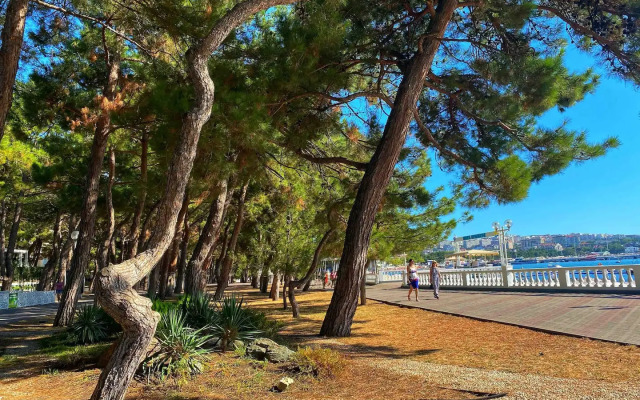 Квартира Luna Apart 2