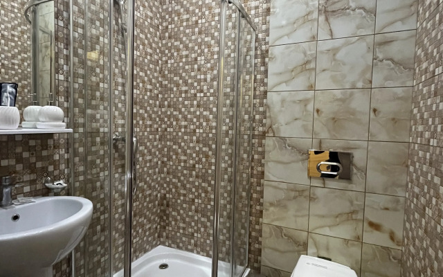 Hotel Metelitsa
