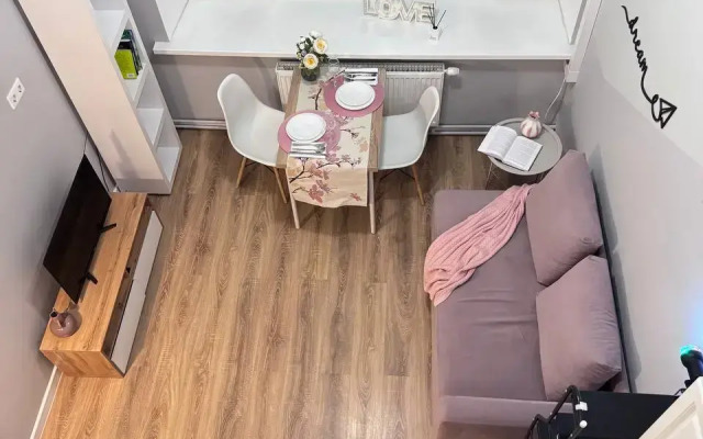 Апартаменты Двухуровневые Purple у Метро Бауманская