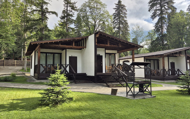 Dacha Apartments