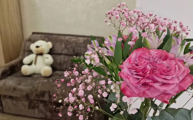 Квартира уютная в центральном районе