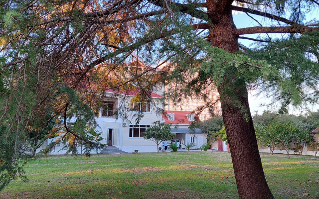 Kate Village Hotel