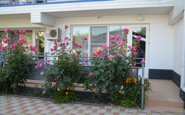 Solnechny Guest House
