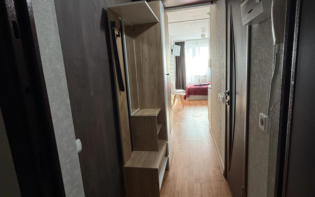 Studiya V Zakamske Apartments