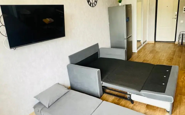 4kh mestnye apartamenty s balkonom i basseynom Apartments