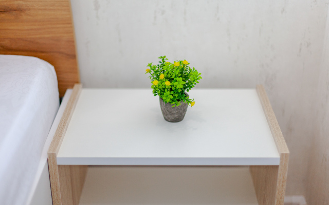 Апартаменты Студия возле Космопорта