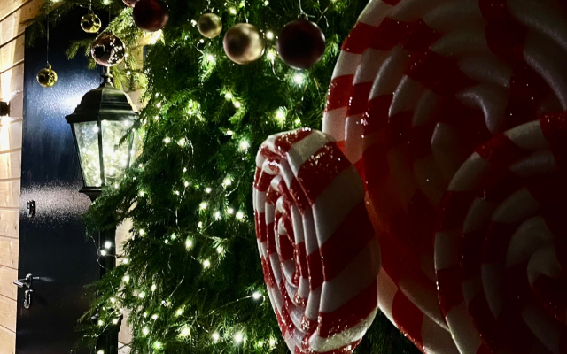 Частный дом Zaгородом