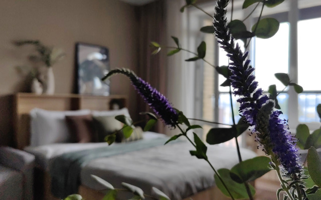 Velvet S Balkonom I Vidom Na Reku Flat