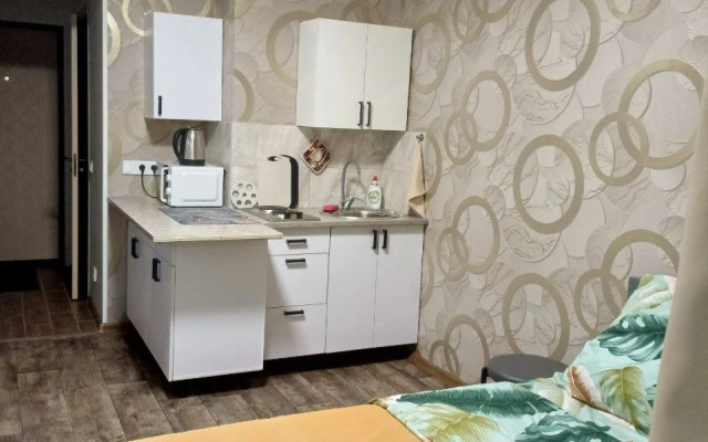 Квартира Уютная студия