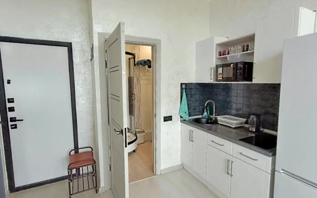 Studiya na prospekte Lenina Apartments