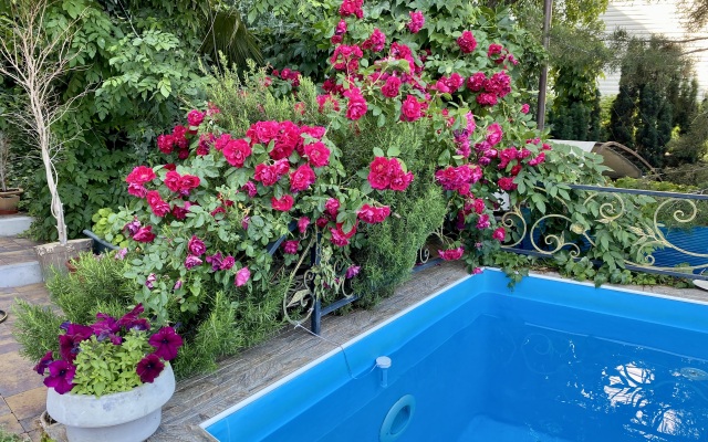 Renessance Villa
