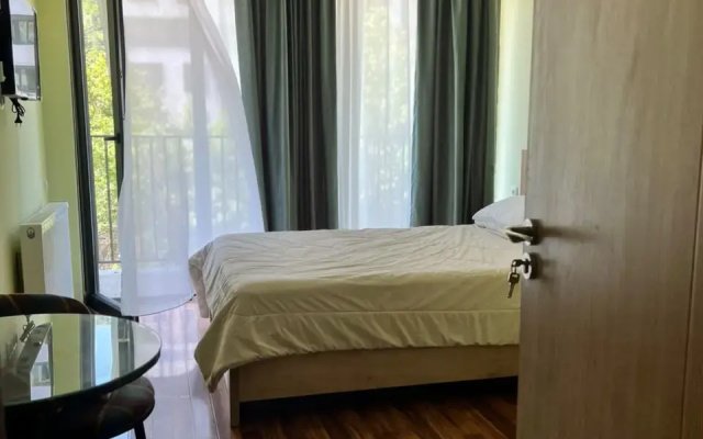 Отель Borjomi Art Boutique