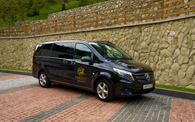 Отель Forrest Terrace