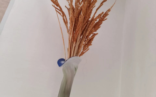 Апартаменты Аврора Трехместные 20