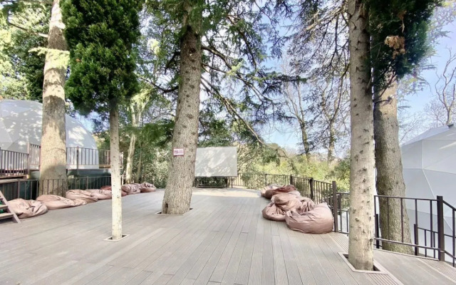 Stilnye Dendrary Apart V Komplekse S Basseynom Apartments