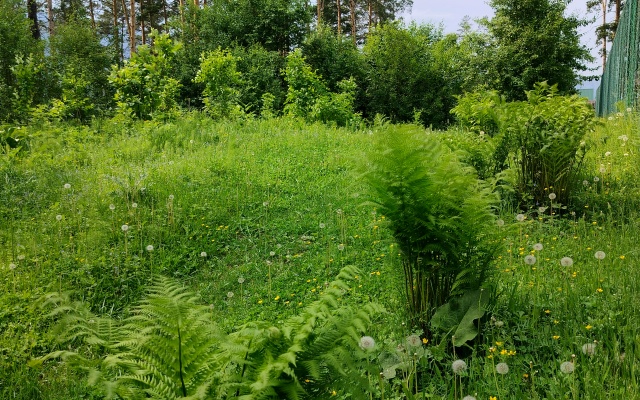 PANORAMA ALTAI Guest House