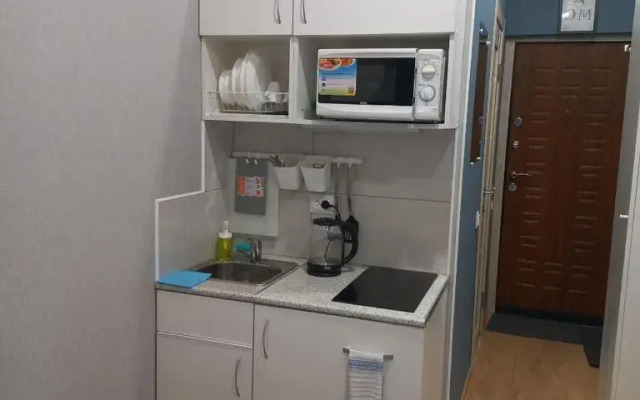 Квартира Студия на Боровой 22