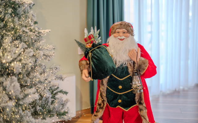 Отель Burki Castle & Cellar