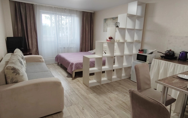 Квартира Уютная Студия Аэропорт