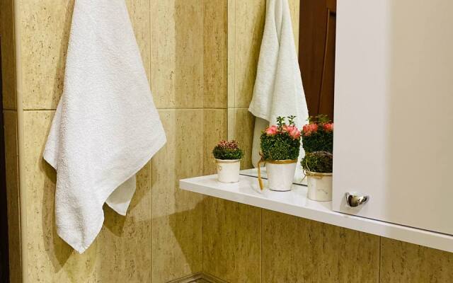 Апартаменты просторные с большим балконом