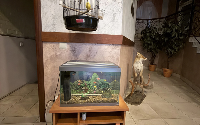 Мотель Лесной