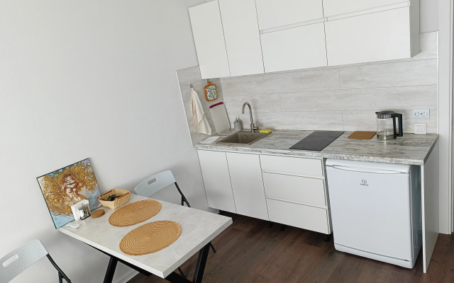 Studiya №1 Murinskaya doroga Flat