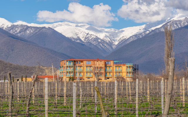 Burki Castle & Cellar Hotel