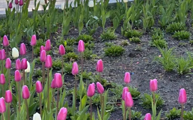 Апартаменты Причал 2