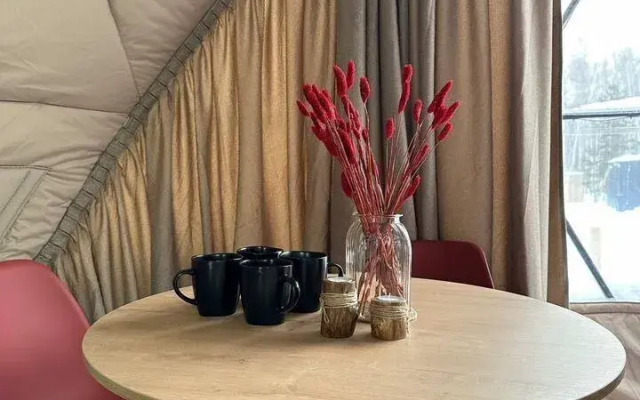 Частный дом Гусь