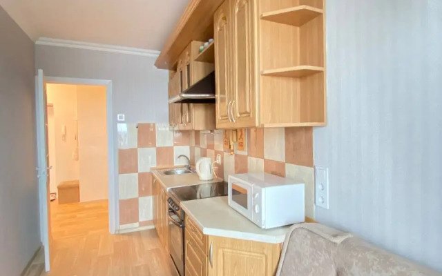 НаМореApartment's Квартира с видом на реку Преголь и музей