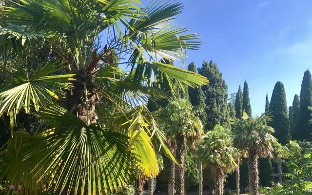 Mishor Guest House