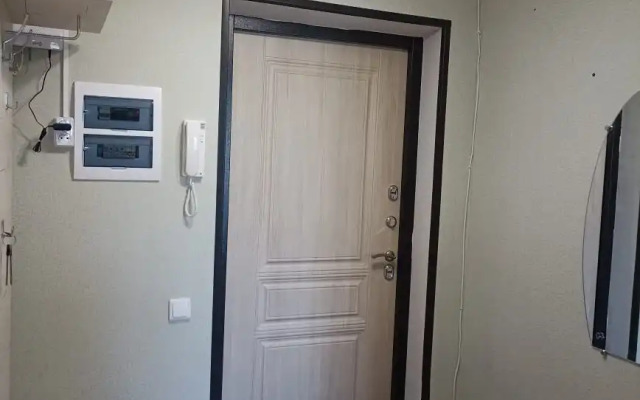 Na Nelidova Flat