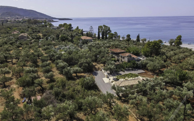 Olive Grove by the Sea Kardamyli Private house