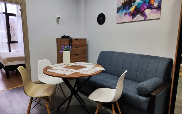 Uyutnaya Kvartira S Vidom Na Gory Apartments