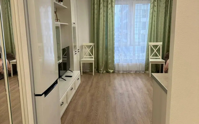 Studiya Okolo Ostrova Mechty I Parka Kolomenskoye Flat