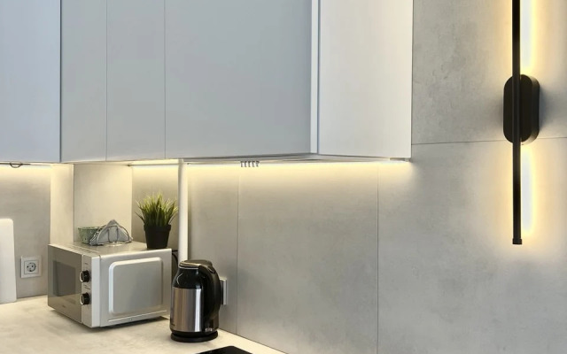 Sovremennaya U Luchshego Plyazha Flat