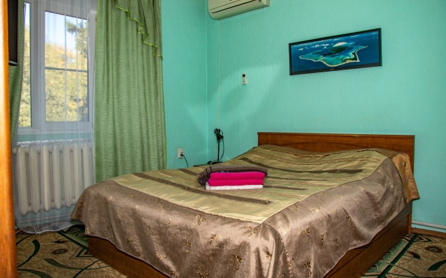 Апартаменты Standard с 2 комнатами с видом на город — фото 1