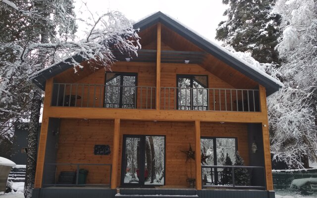 Arhyzh Forest Eco Recreation camp