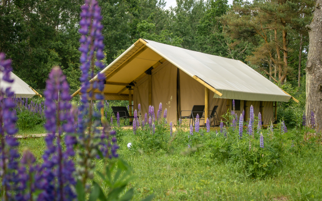 Malina Glamping