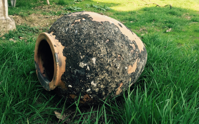 Divny Sad Guest House